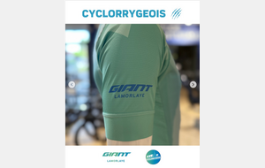 680a63784f12e_PhotoGiantLamorlaye3.png